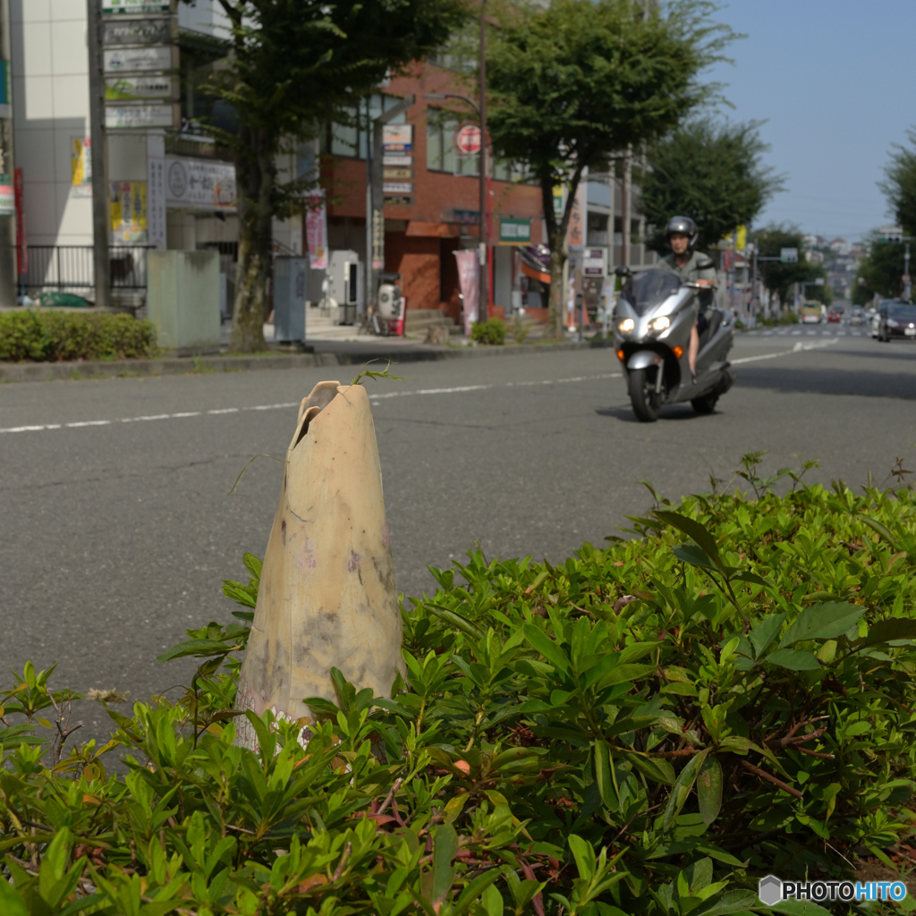 パイロン