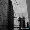 Electrical Wire