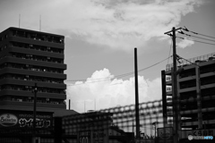 真夏の雲を見たかい？