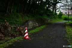 ハリケーン後の風景