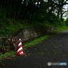 ハリケーン後の風景