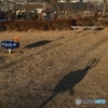 子供達のいない公園