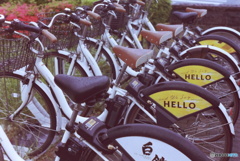 Hello! Bicycle!