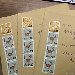 写真紙の月例へ応募始めました
