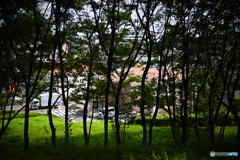 隙間風景