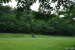 曇りの朝の公園