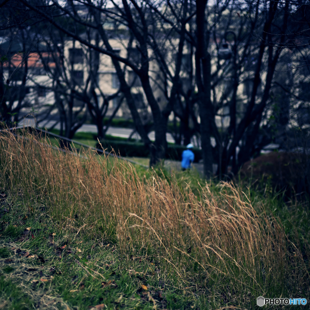 【写真展 Maze Q4CY24】青の男