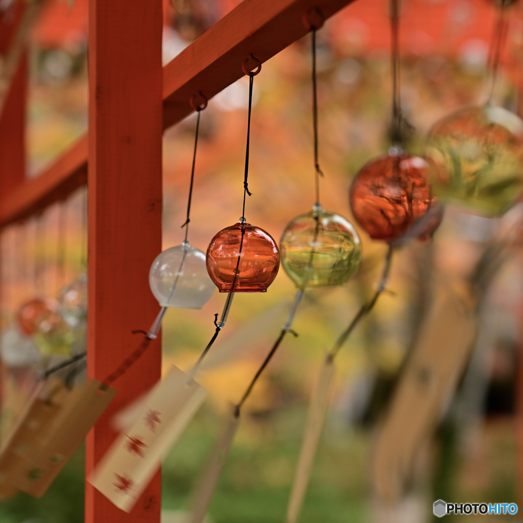 【写真展 Maze Q4CY24】秋の風