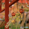 【写真展 Maze Q4CY24】秋の風