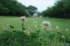 共生
