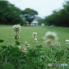 共生