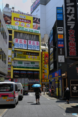 日傘男