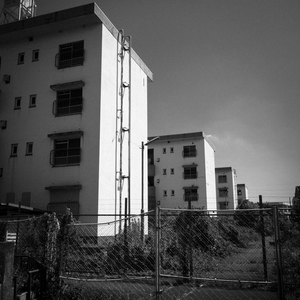 団地