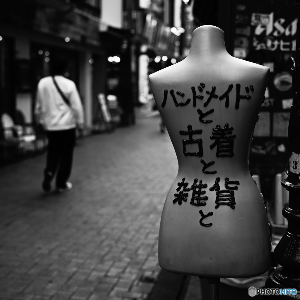 【写真展 Maze Q4CY24】いらっしゃいませ