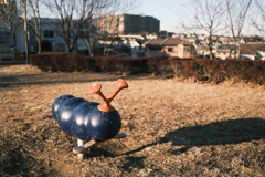 寒さに耐える芋虫