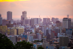 都市部