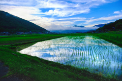 水田の空