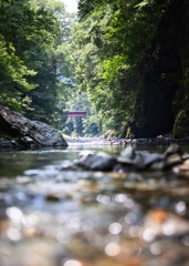 渓流と橋