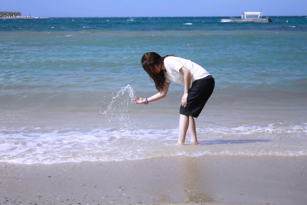 世界遺産の海