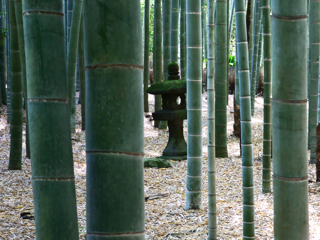 報國寺