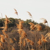 風景