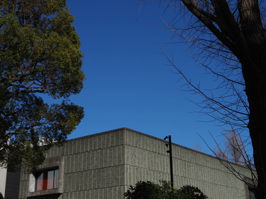 西洋美術館の空