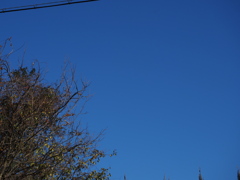 新年の空