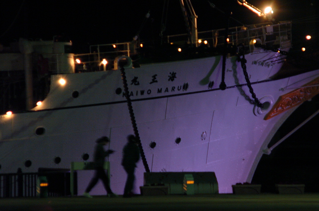 夜の海王丸パーク