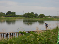 曇の日の多々良沼