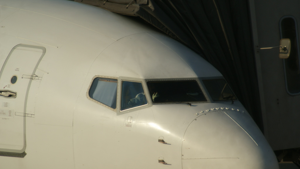 朝の羽田空港
