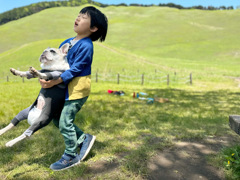 犬と子供