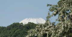 初夏の富士山