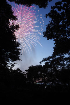 豊橋祇園祭り②