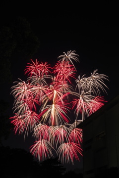 豊橋祇園祭り⑤