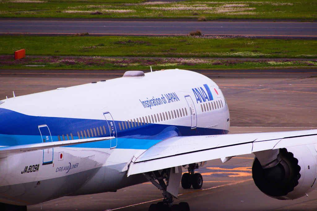 ANA　羽田空港　どこかへ