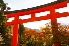 秋の鳥居