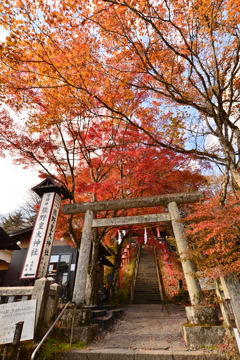秋の峠の神社