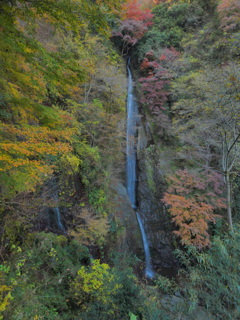 秋の滝