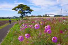 秋の散歩道