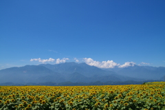 高原