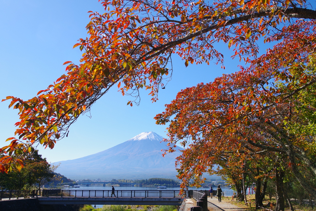 富士山の秋