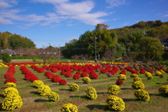 秋空の里山