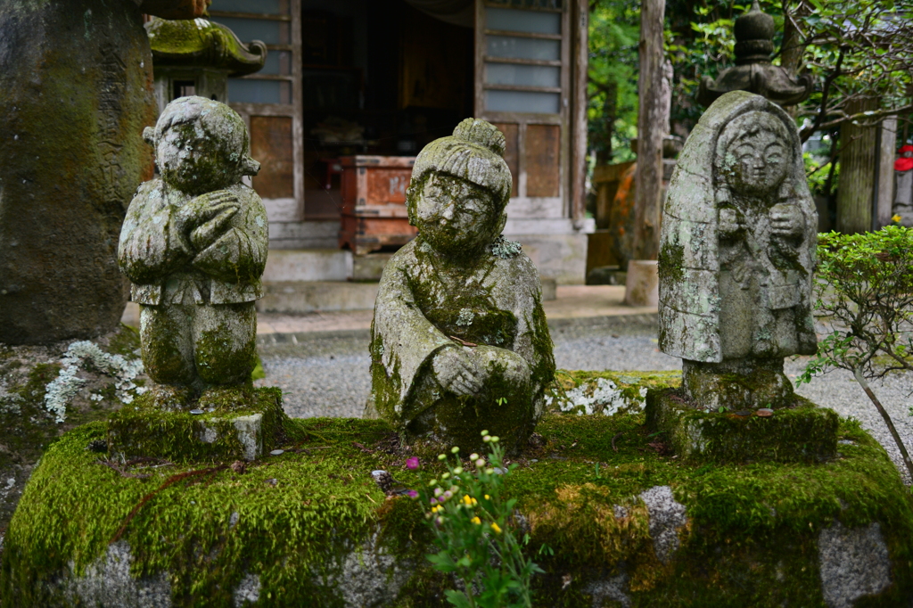 寺