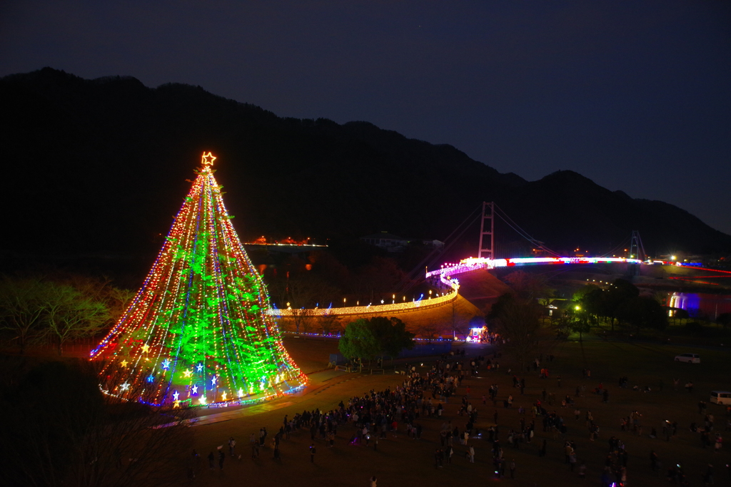 クリスマスツリー