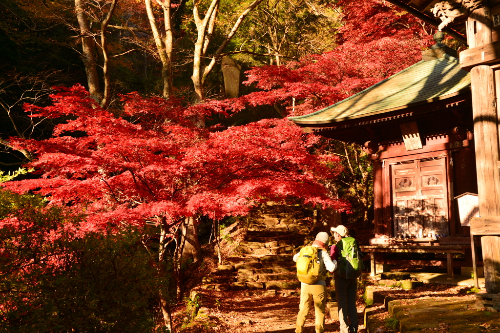寺の紅葉