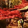 寺の紅葉