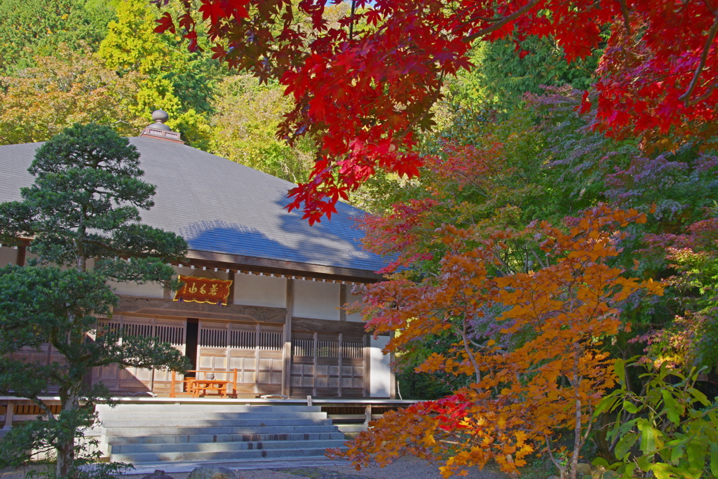紅葉の寺