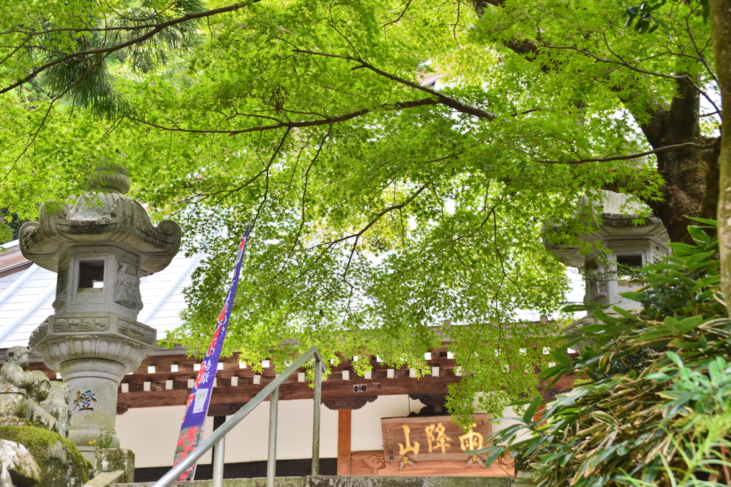 晩夏の寺