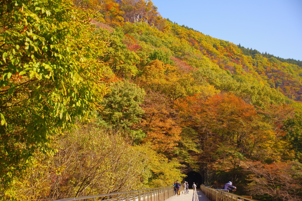 橋上の秋