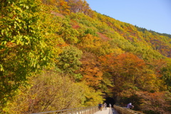 橋上の秋